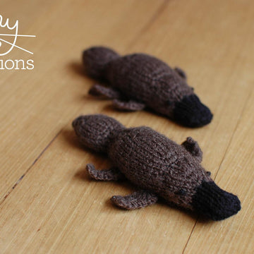 Little Platypus