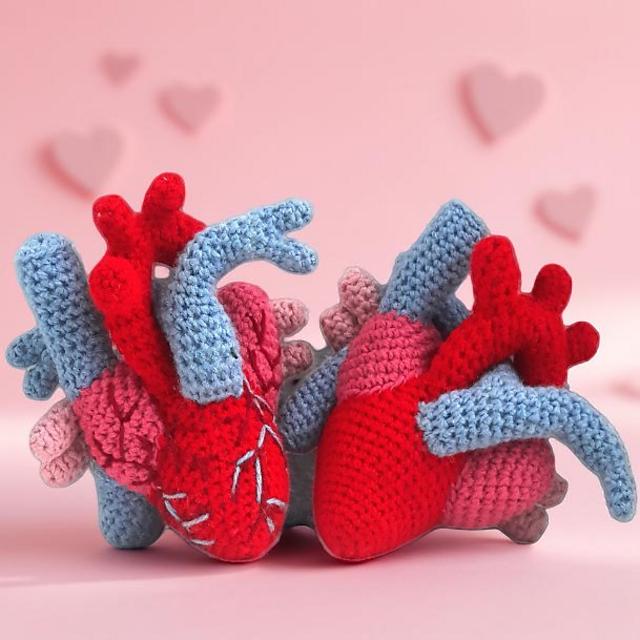 Anatomical Heart