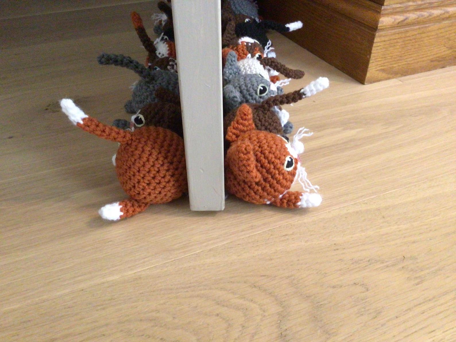 Cats at the Door