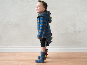 Dino Hoodie and Socks