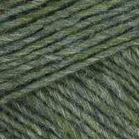 Lyme Grass (1706)