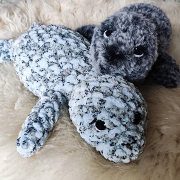 Henry the Harbour Seal