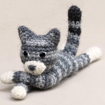 Dandylion kitty cat