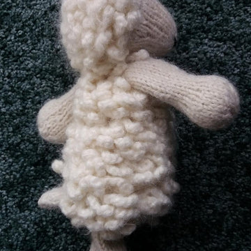 Sheep or lamb