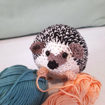 Hedgehog