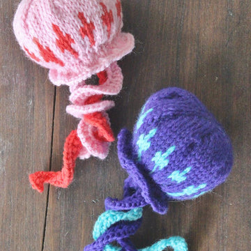 Jellyfish