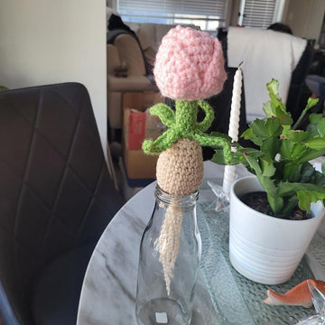 Tulip Bulb plant