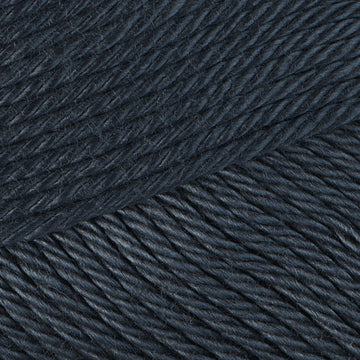 Anthracite (501)