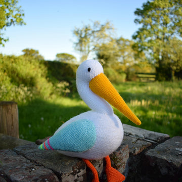 Peggy the Pelican
