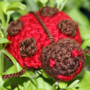 Two Little Ladybirds