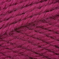 Fuchsia (2344)
