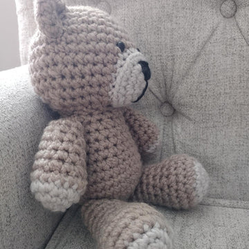 Theo the Bear