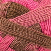 Rosa Träume (2228)