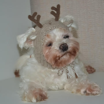 Reindeer dog hood, Crochet Pattern PDF, Size: XS for small dog. Language - English