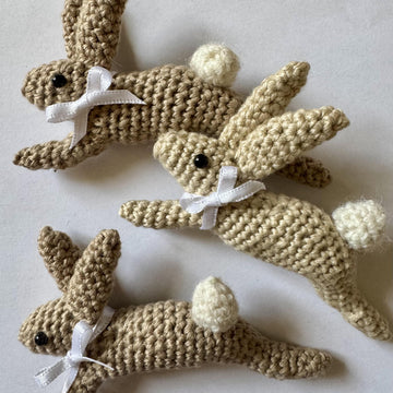 Leaping Spring Hare