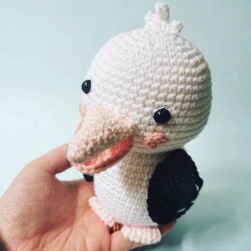 Saffron the Pelican