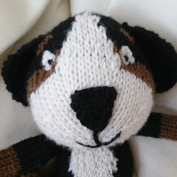 Bernese Bob