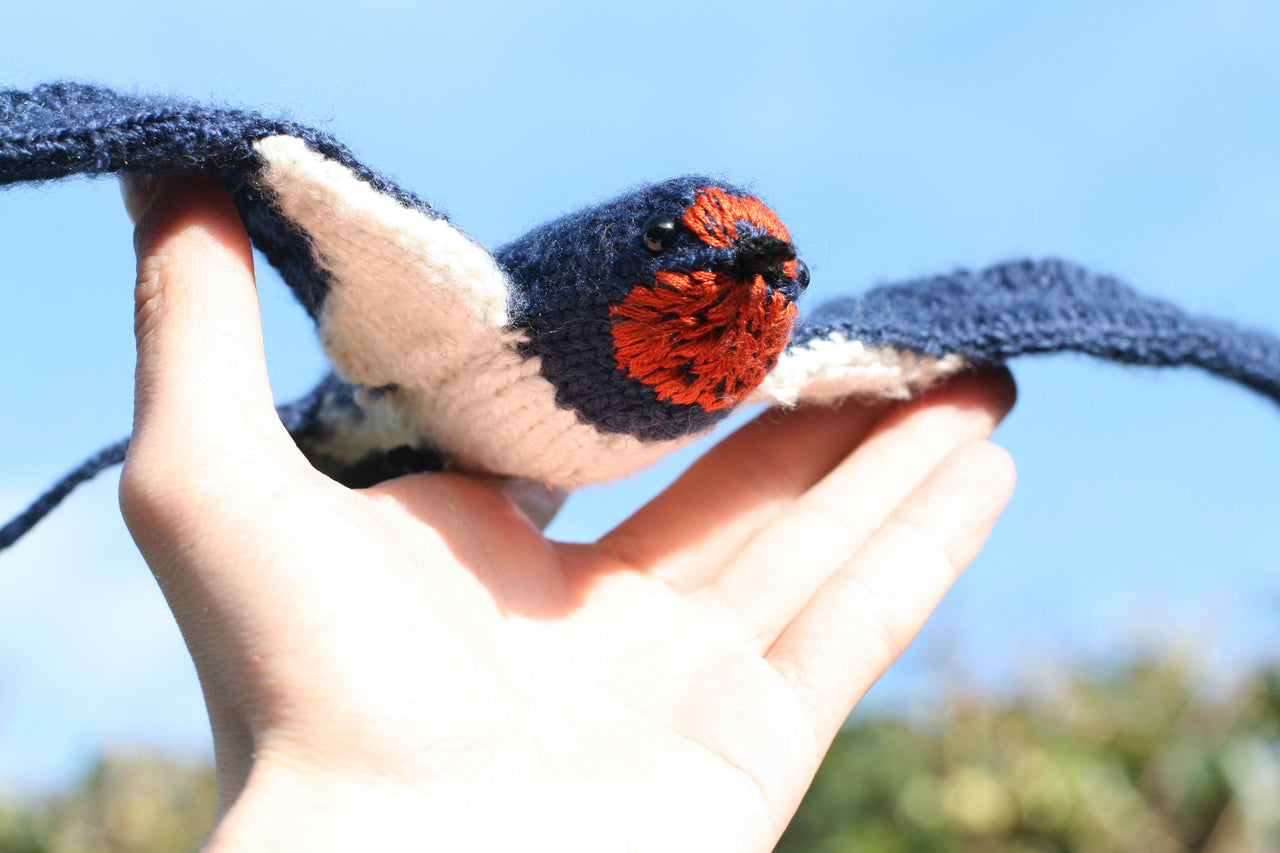 Soaring Swallow