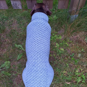 Tähti dog sweater
