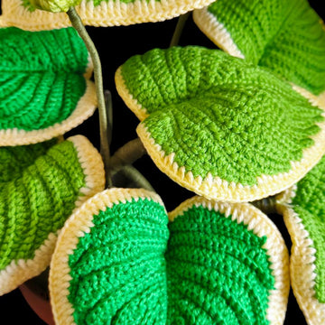 Crochet Hosta plant