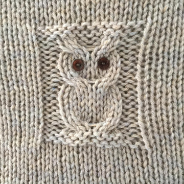 Solitary Owl Cushion Cover