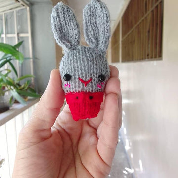 Rabbit (2023 year of the rabbit)