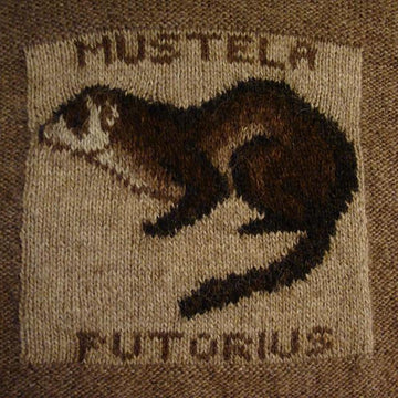 Ferret Lover (English & Swedish versions)