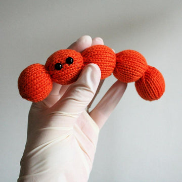 Streptococcus Chain