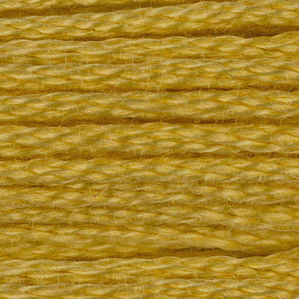 DMC Stranded Cotton - Warm Shades