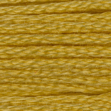 DMC Stranded Cotton - Warm Shades