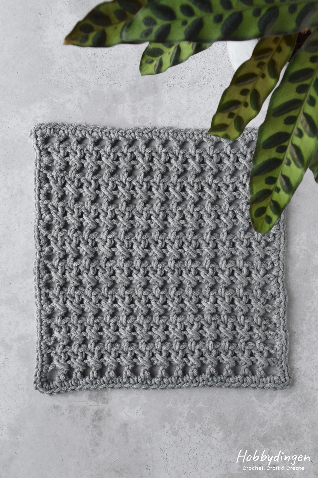 December Square