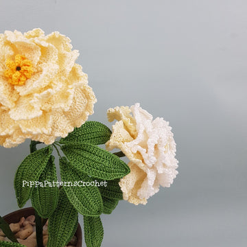 Peony