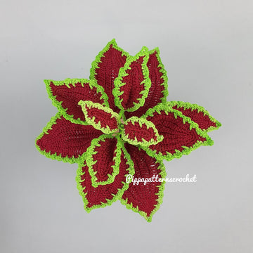 Coleus Red