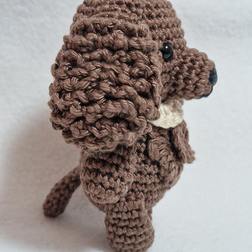 Spaniel Dog