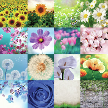 Reminisce Wildflower Double-Sided Cardstock 12"X12" 25/Pkg - Wall Of Ivy