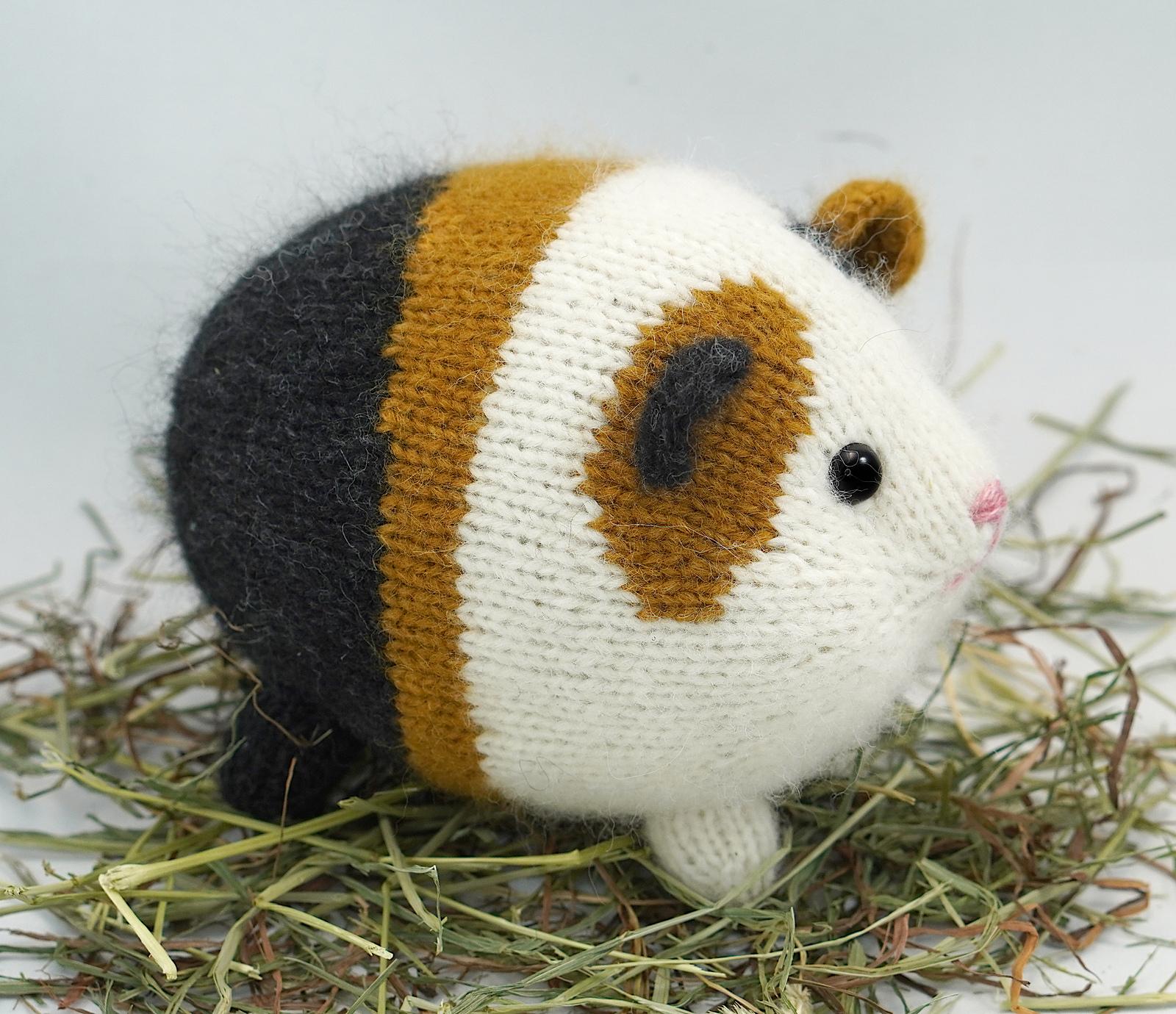 Garden Variety Guinea Pigs