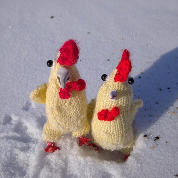 Funny rooster knitting pattern
