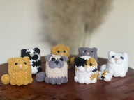 Mini Cats - 5different designs