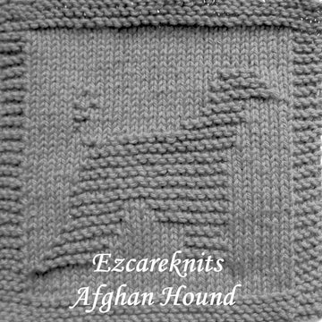 Afghan Hound
