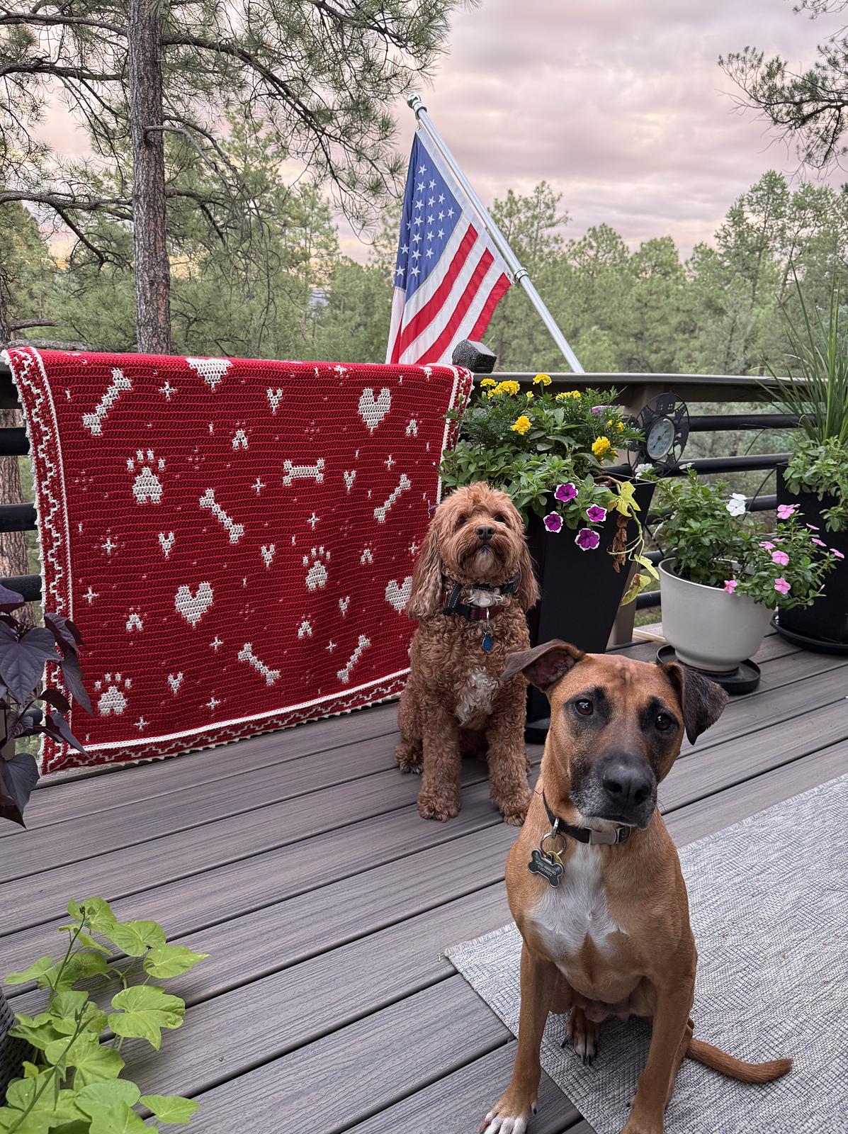 Dog Love Shuffle
