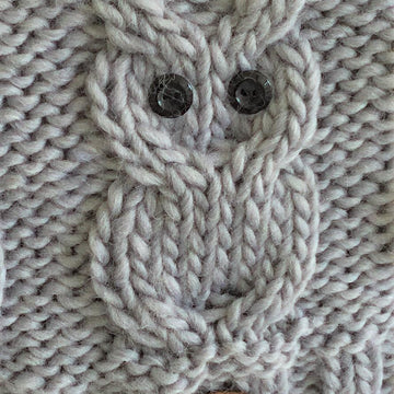 "3 Wise Owls" Cushion Cover