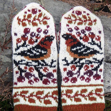 Birds and Berries