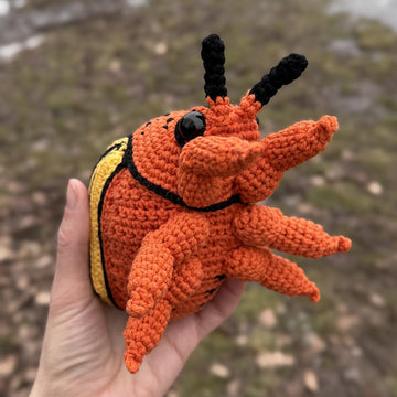 Colorado Beetle