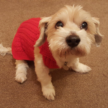Sophie's Collared Mock Cable Jacket