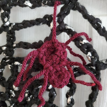 Spooky Spiderweb & Spider
