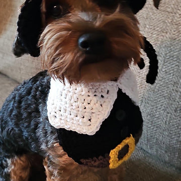 Pilgrim Pet Bandana and Hat