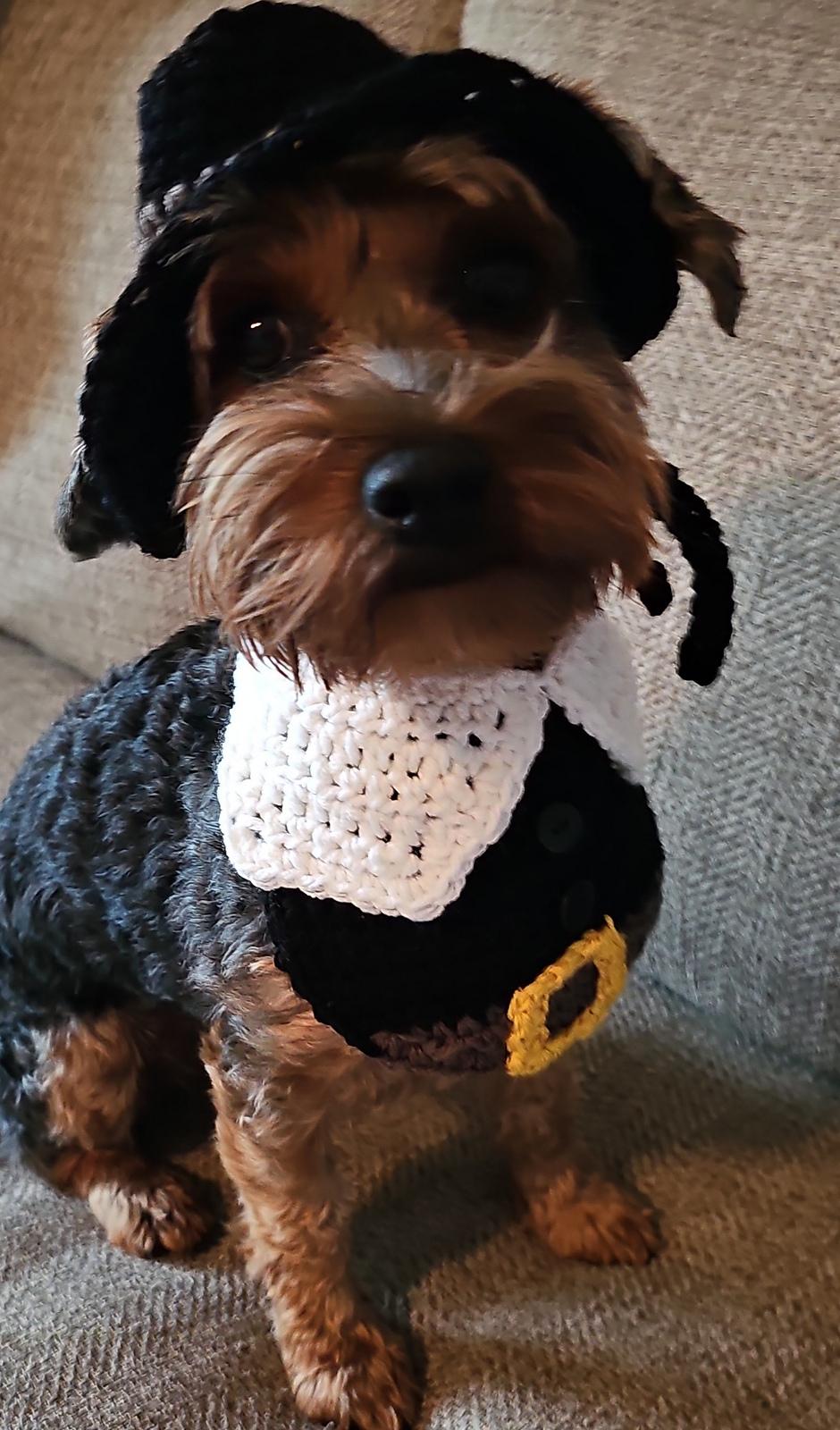 Pilgrim Pet Bandana and Hat
