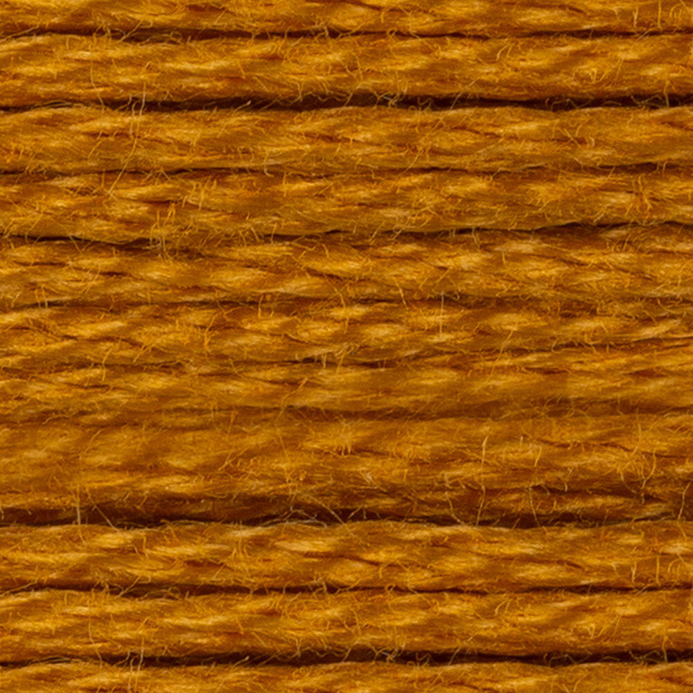 DMC Stranded Cotton - Warm Shades