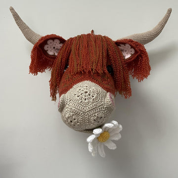 Heather the African flower highland cow head
