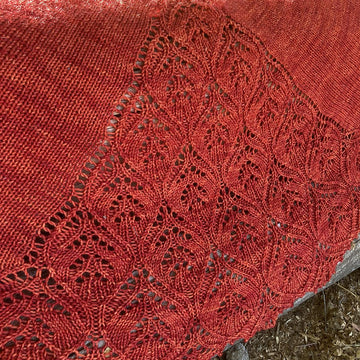 Zinderella Shawl